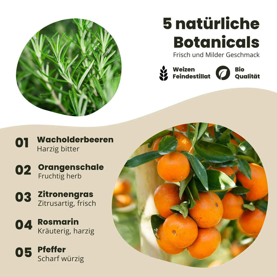 Gin 42 Tapferkeitstropfen