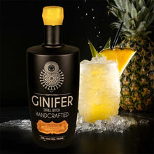 Lade das Bild in den Galerie-Viewer, Ginifer Pineapple – Frucht aus Durban trifft das Feuer Joburgs
