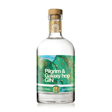 Lade das Bild in den Galerie-Viewer, Pilgrim &amp; Galaxy Hop Gin
