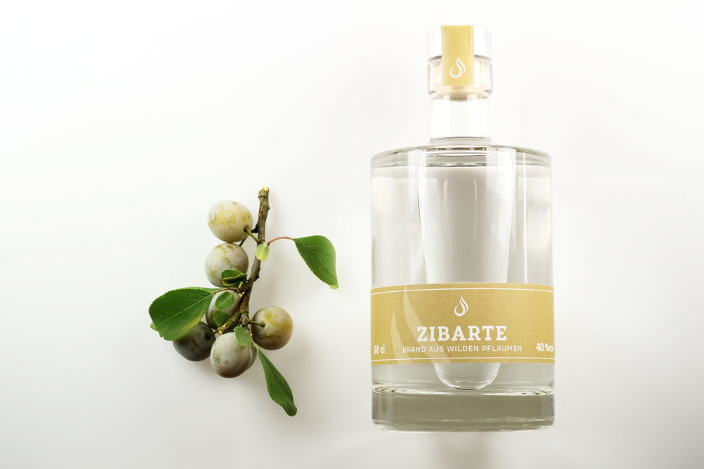 ZIBARTE